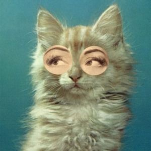 Meet your Posher, Barbara